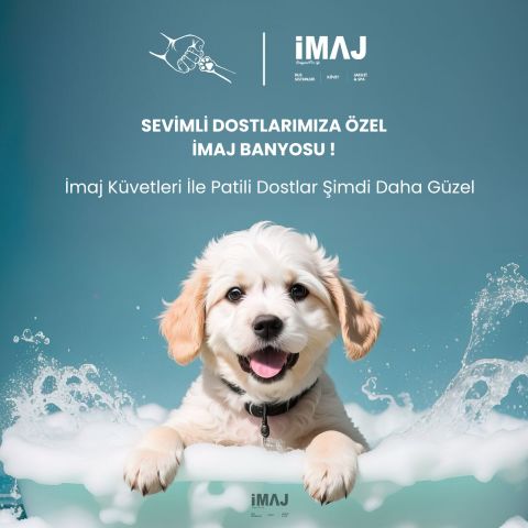 İmaj Evcil Hayvan Küveti 40x80 cm h:45